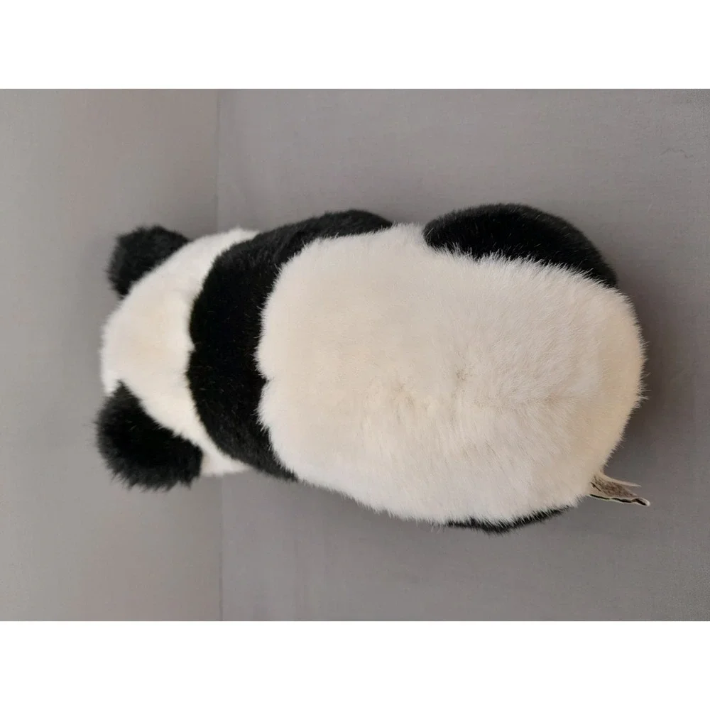 Smithsonian National Zoo Panda Bear 10